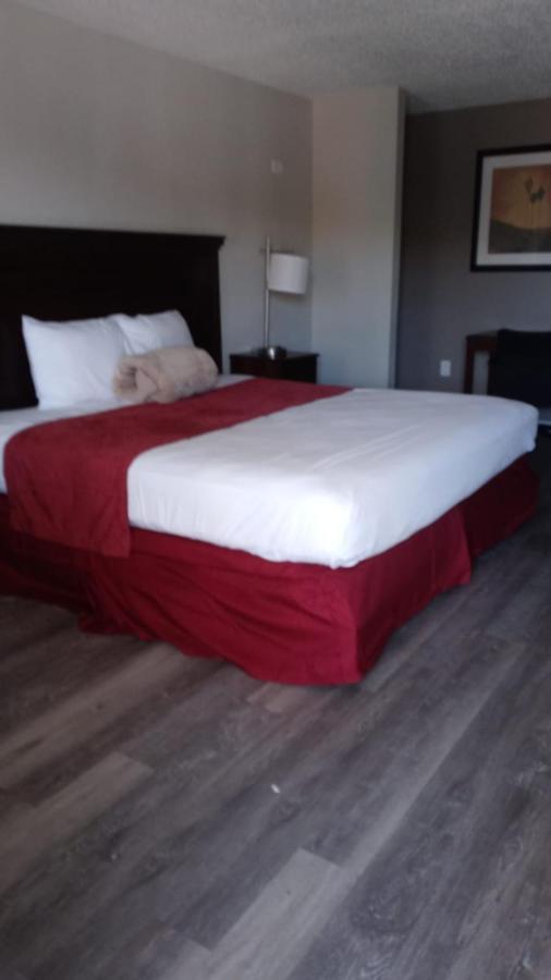 La Casa Inn New Port Richey Gulf Beach Us-19 外观 照片